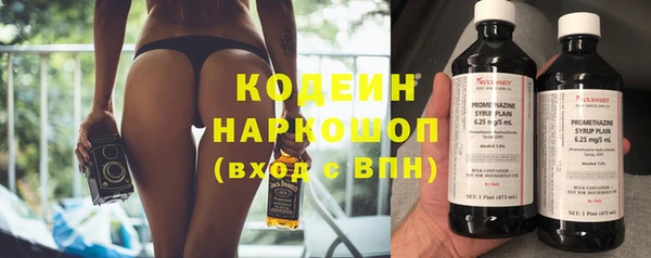 шишки Лагань