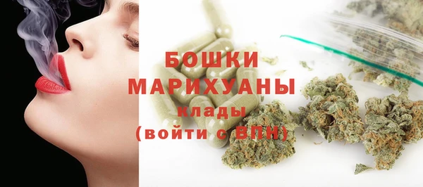 шишки Лагань