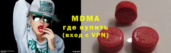 молекула духа Вяземский