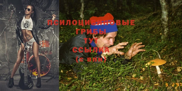 шишки Лагань